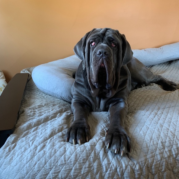 Meet your Posher, Anthony - Picture 2 of 5